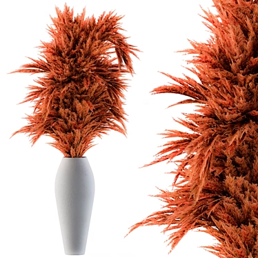 Russet Red Pampas Grass 3D model image 1 