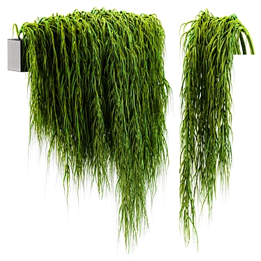 Evergreen Hanging Ivy Plant 3D model image 1 