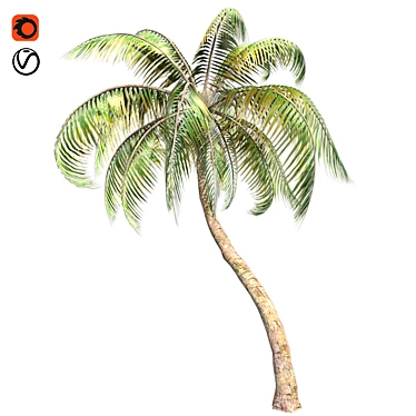 Tropical Bliss: Palm Coconut Dream 3D model image 1 
