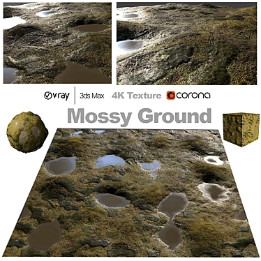 Lush Mossy Forest Floor 3D model image 1 