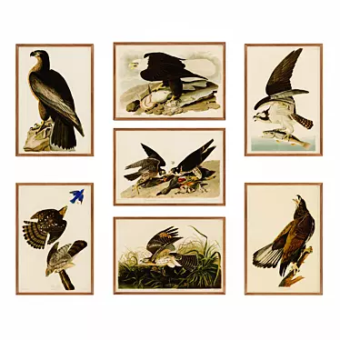 The Birds of America posters # 01