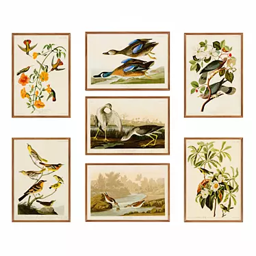  Audubon's Birds of America Posters 3D model image 1 