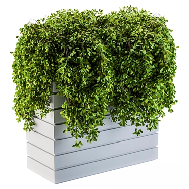 Lush Greenery Delivered to Your Doorstep 3D model image 1 