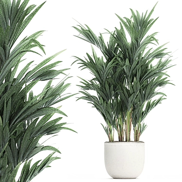 Exotic Palm Collection in White Pot 3D model image 1 