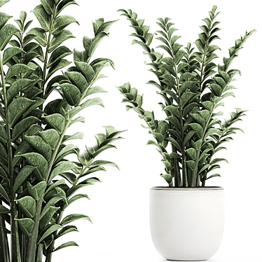 Exotic Tropical Plants in White Pots 3D model image 1 