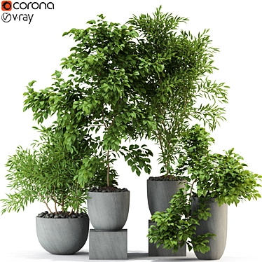 Botanical Beauty: Plants Collection 335 3D model image 1 