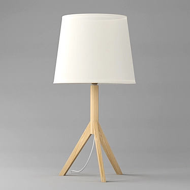 Minimalist Table Lamp: Faro Hat - Wood Base, Fabric Shade 3D model image 1 