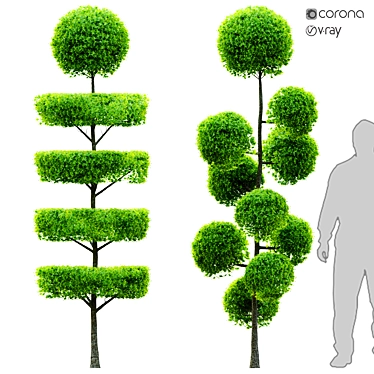 Dual Shrub Duo: 2.5m Height 3D model image 1 