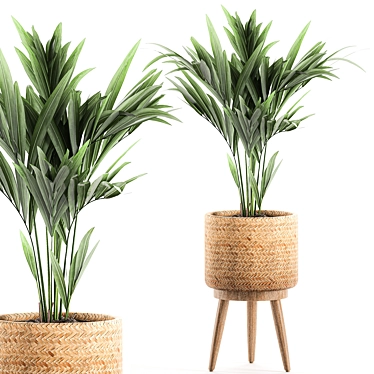 Tropical Palm Collection in Decorative Basket 3D model image 1 