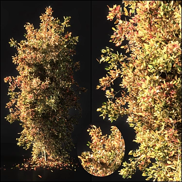 Autumn Tree Sculpture 2015 3D model image 1 