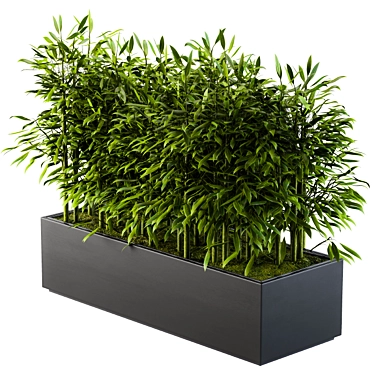 Natural Bamboo Plant Set 3D model image 1 