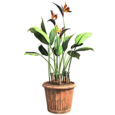 Bamboo Harmony Pot 3D model image 1 