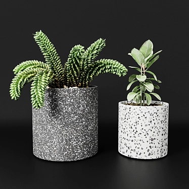 Bransc Pots: Chic Black and White Planters 3D model image 1 