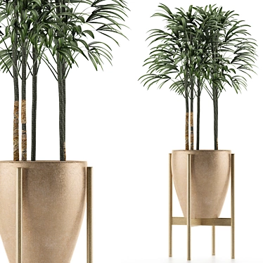 Exotic Palm Tree - Single Plant 10 3D model image 1 