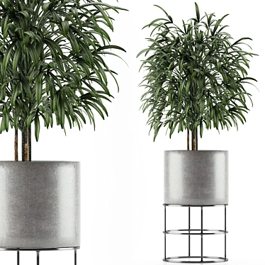Exotic Palm Tree: Single Plant 14 3D model image 1 