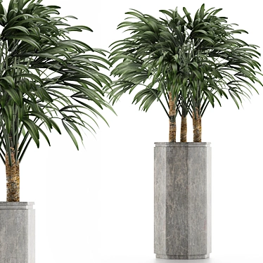 Exotic Ravenala Palm: Stunning Single Plant 3D model image 1 