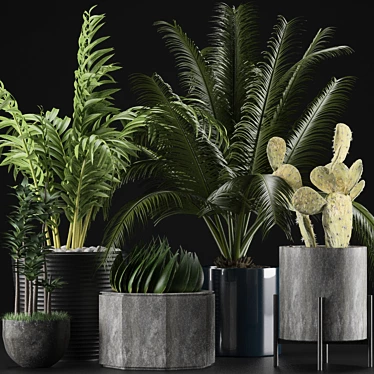 Title: Exotic Plants Collection 3D model image 1 