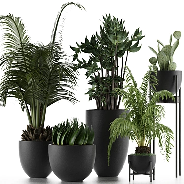 Exotic Plant Collection: Decorative Palm Trees, Office Flowers & More 3D model image 1 