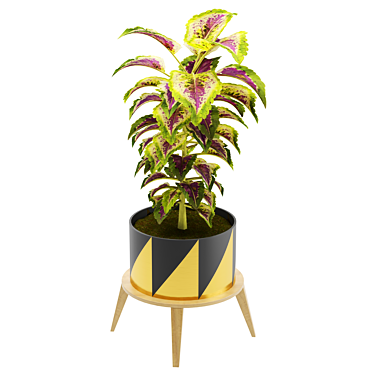 Vibrant Foliage Collection 3D model image 1 