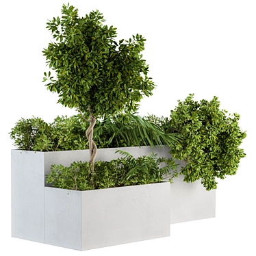 Modern Concrete Planter Set - 45 Outdoor Plants 3D model image 1 