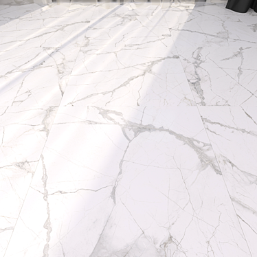 Glacier White Marble Floor: Museum Collection 3D model image 1 