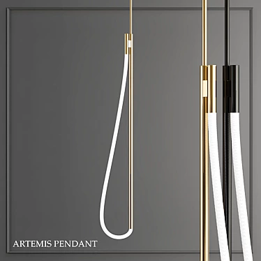 Artemis Pendant 2013 - Unique Pendant Design 3D model image 1 