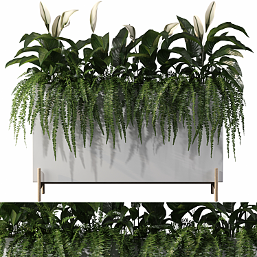 Office Greenery Set: Fern & Peace Lily 3D model image 1 