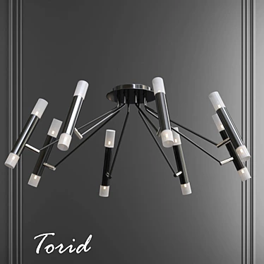 Torid 2013 3D Model: Polys 635K, Corona Render 3D model image 1 