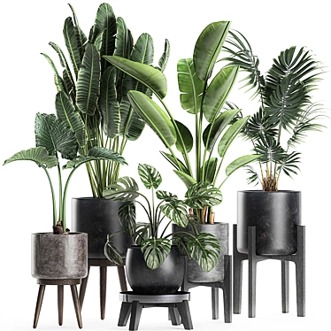 Exotic Plant Collection in Black Vase 3D model image 1 