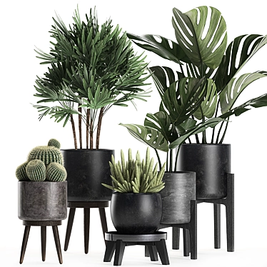 Exotic Plant Collection: Raphis Palm, Sansevieria, Monstera 3D model image 1 