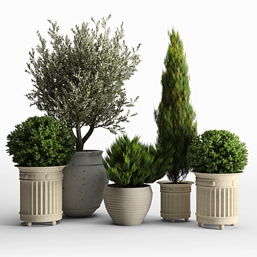 Rustic Prescott Planter Set 3D model image 1 