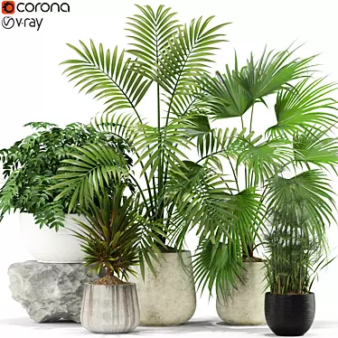 Green Oasis: Contempo Plants Collection 3D model image 1 