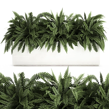 Exotic Tropical Indoor Plant Collection in White Pots 3D model image 1 