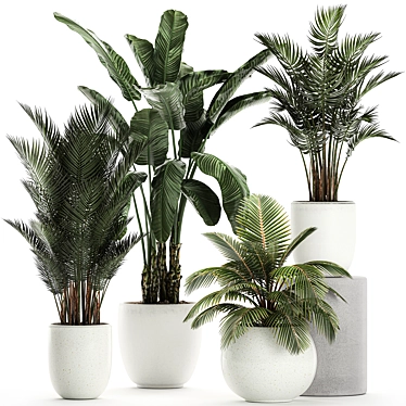 Exotic Plant Collection in White Vase 3D model image 1 