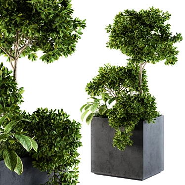  Concrete Box Set 58 - Outdoor Plant Décor 3D model image 1 