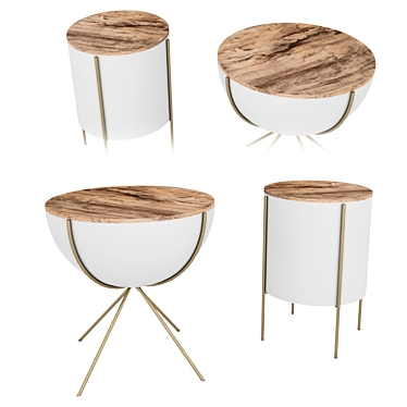 Exquisite Thomas Bina Tables 3D model image 1 