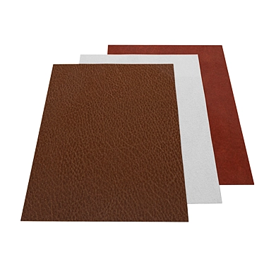 Premium Leather Collection: Timeless Elegance 3D model image 1 