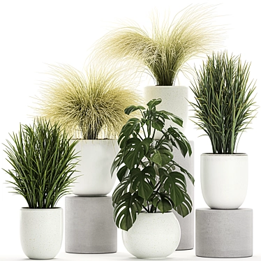 Exotic Greenery Collection in White Vase 3D model image 1 