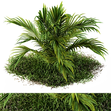 Tropical Serenity: Banana Palm and Wild Grass Outdoor Décor 3D model image 1 