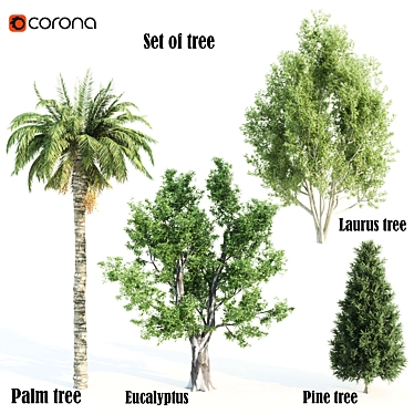 Diverse 4 Tree Set: Eucalyptus, Laurus, Palm, Pine 3D model image 1 