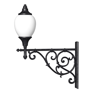 Elegant Outdoor Wall Light 3D model image 1 