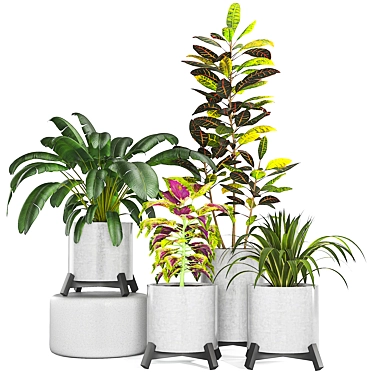 Versatile Plant Collection: Indoor & Outdoor 3D model image 1 