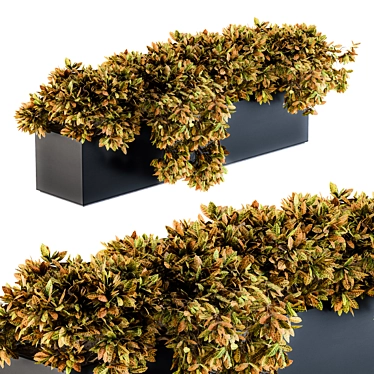 Sleek Croton Plant Planter 3D model image 1 