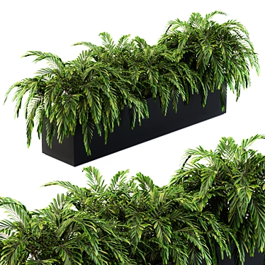 Tropical Oasis: Palm Plants in a Box 3D model image 1 