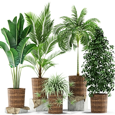 Lush Greenery: Plants Collection 356 3D model image 1 