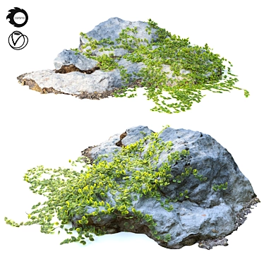 Naturally Sculpted Rock & Ivy 3D model image 1 