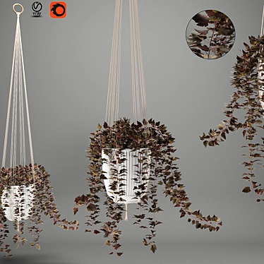 Macrame Hanging Pot Plants 3D model image 1 