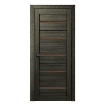 Sleek Modena Interior Door 3D model image 1 