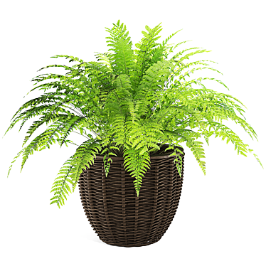 Versatile Plant Collection - High Detail 3D model image 1 