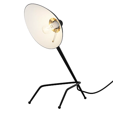 Elegant Metal Desk Lamp 3D model image 1 